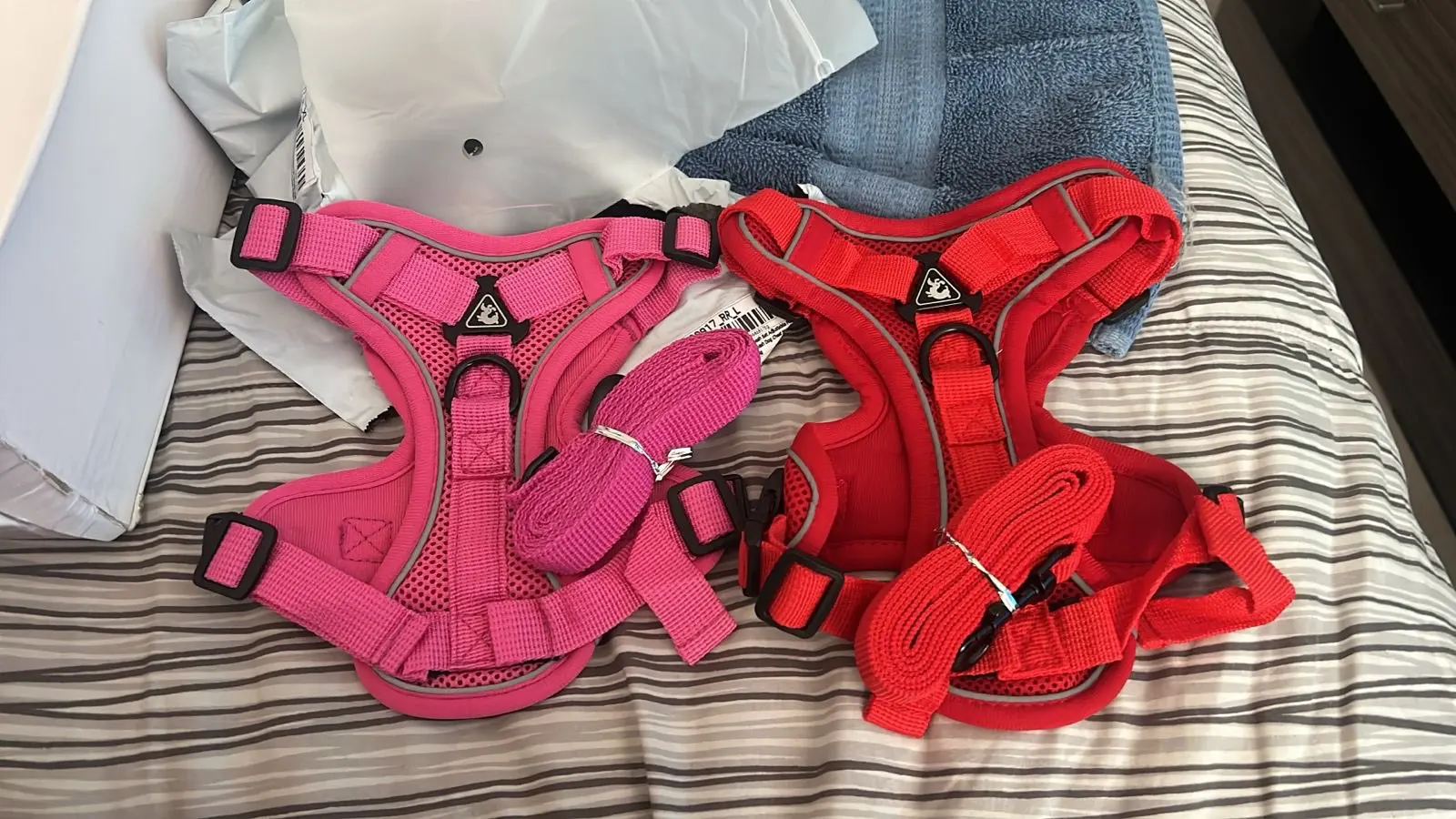 Halsband - Verstellbar, Reflektierend & Komfortabel für kleine Hunde und Katzen photo review