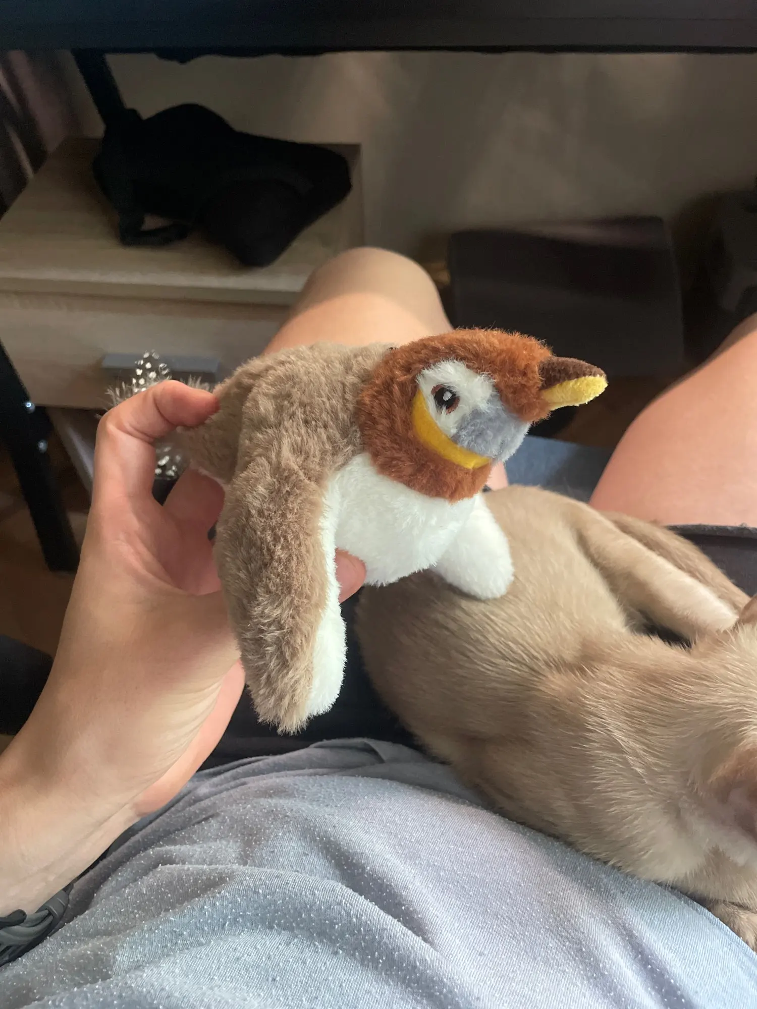 Catnip Squeaky Bird Plush (No Flying) photo review