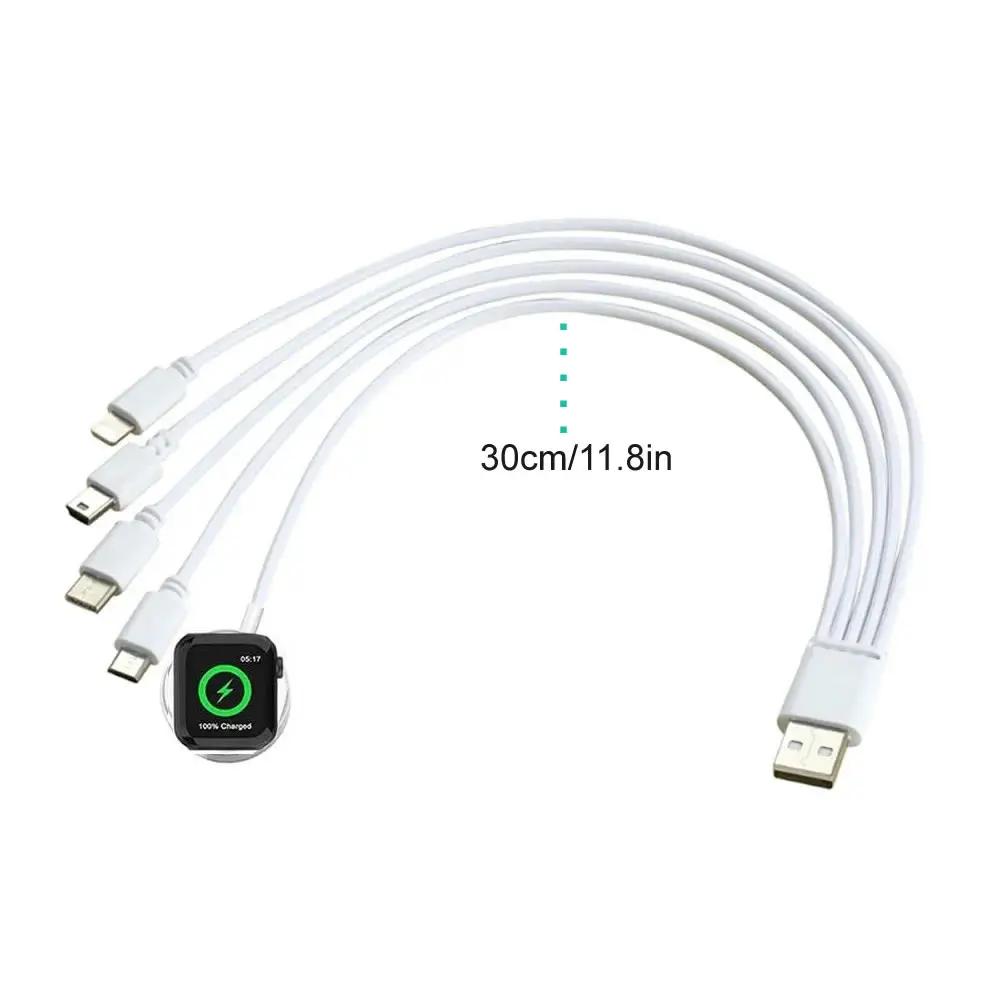 Versatile 5-in-1 Magnetic Charging Cable