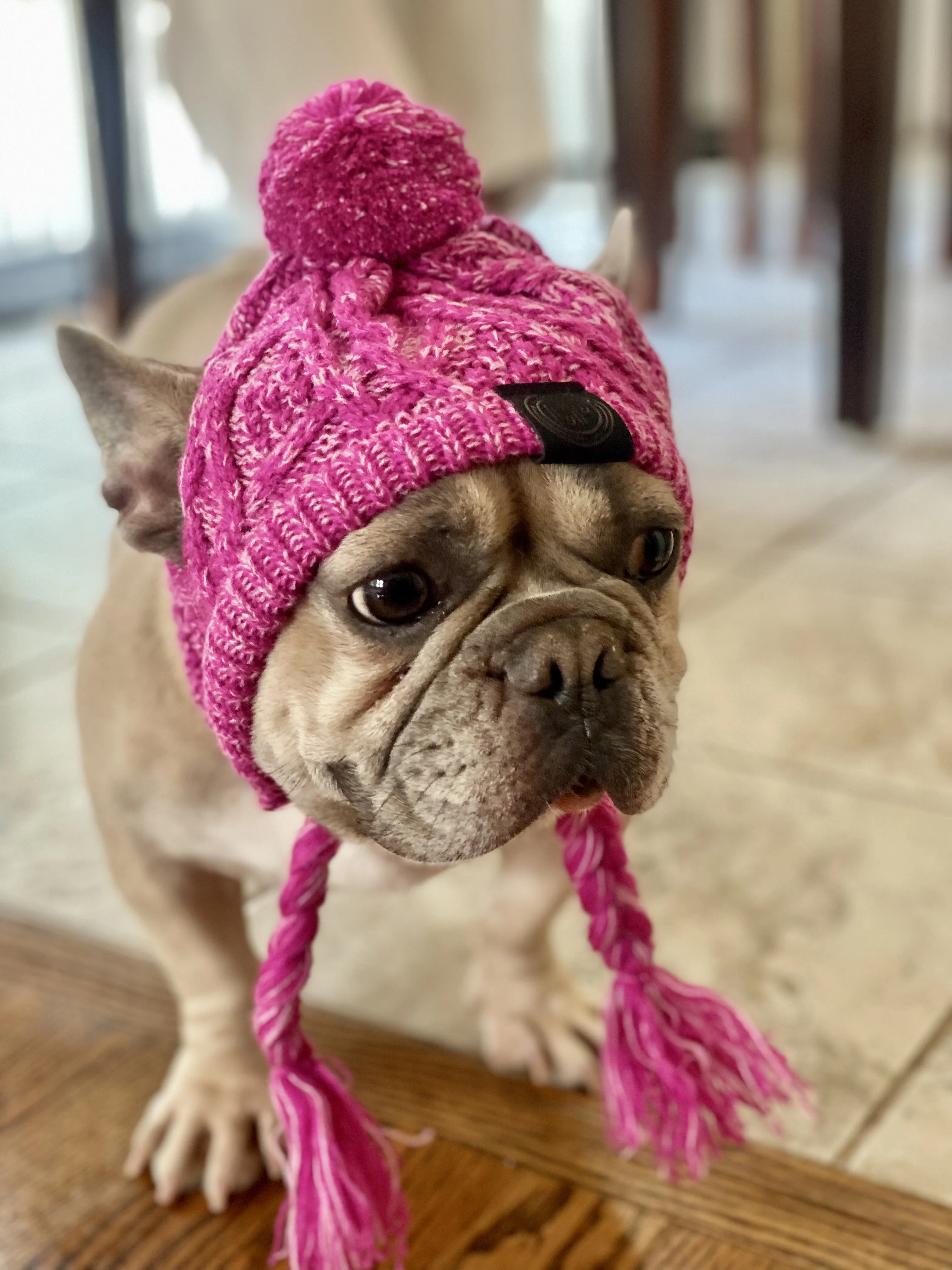 Dog Winter Knitted Hat With Ear Holes And Long Tassel photo review