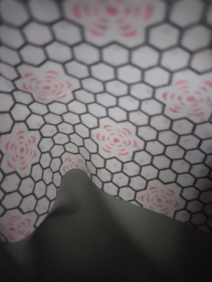 TRUTRENDY™ SCULPTFLEX HIP LIFT PANT (PROMOTIONAL OFFER) photo review