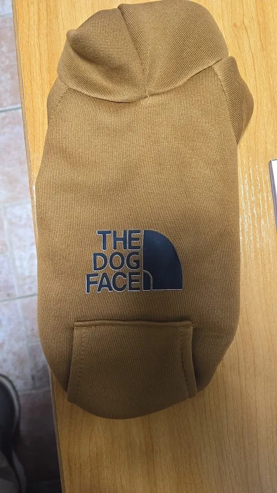 Suéter de otoño e invierno con bolsillo de vaquero, ropa de dos patas, ropa deportiva para mascotas, suministros de ropa para perros y gatos photo review