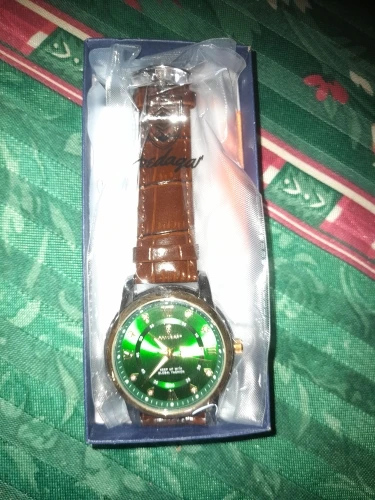 POEDAGAR Luxury Man Wristwatch photo review