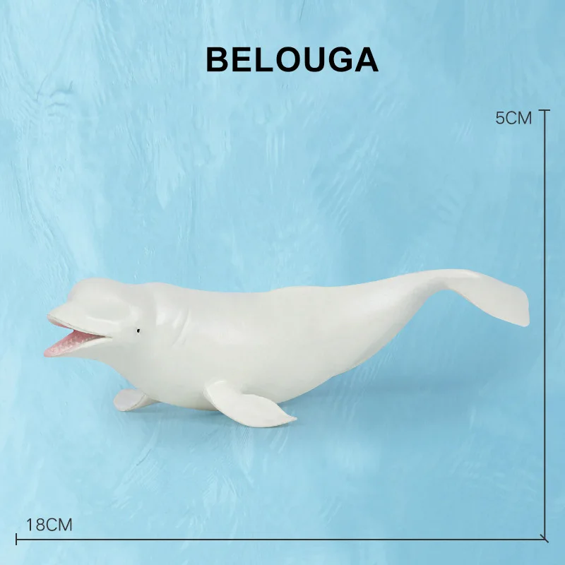Belouga