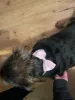 Изображение товара 5