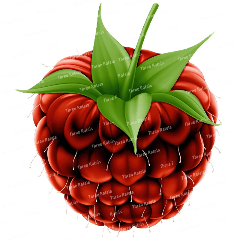 thumbnail image 1 of Pegatina decorativa para nevera de cocina con forma de fruta de dibujos animados de frambuesa linda Three Ratels CO22, 1 of 5
