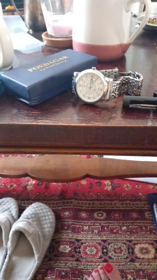 POEDAGAR Luxury Watch for Men photo review