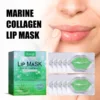 Hoygi Moisturizing Lip Mask Aloe Vera Moisturizing and Anti Drying Crack Autumn and Winter Moisturizing Care Whitening 10 Pieces 1