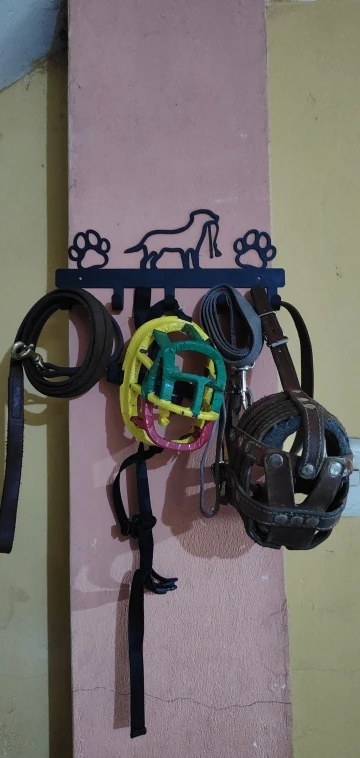 Paw Prints Wall-Mounted Pet Organizer: Stylish Metal Hanger for Leashes, Clothes, and Keys photo review