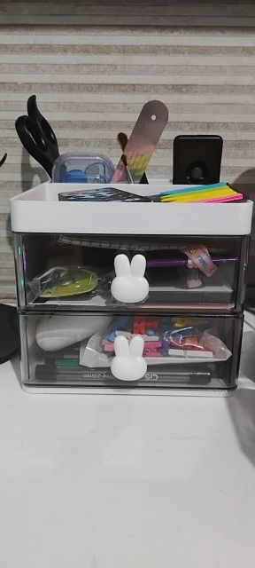 Organizador Mesa Coelho Porta Treco Caneta Gaveta/Maquiagem Escritório Multiuso - Neverdie Store photo review