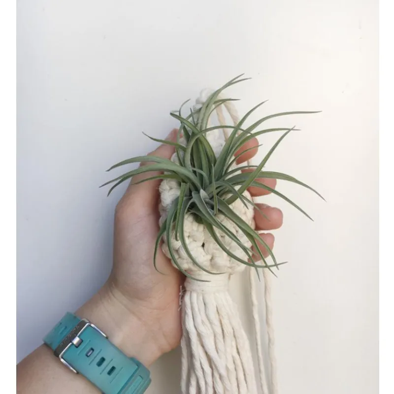 2Sizes Nordic INS Hanging Basket Pineapple Shape Handmade Boho Landscaping Cotton Macrame Flower Planter Living Room Balcony Dec hanging flower planter