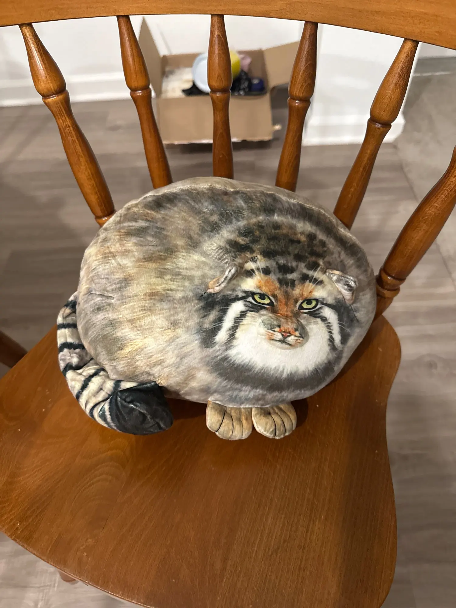 Chonky Realistic Palla's Cat photo review