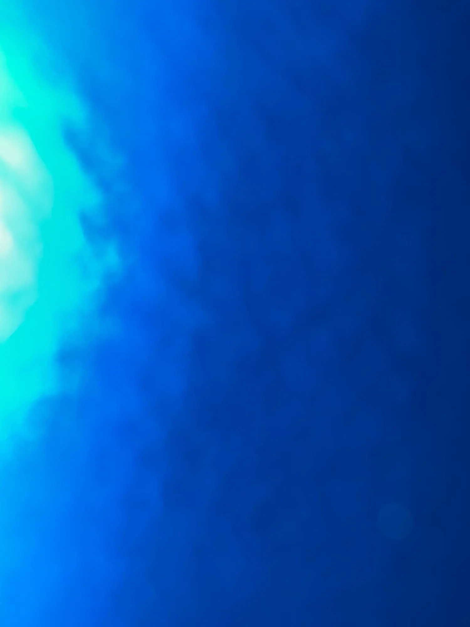 240pcs/16Rolls Thick Dog Poop Bags, Leak Proof Pet Waste Bag For Dog Outdoor Walking photo review