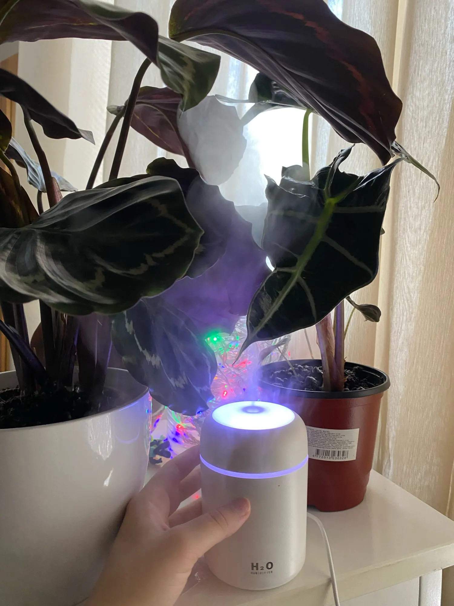 Battery Humidifier Portable 300ml Electric Air photo review
