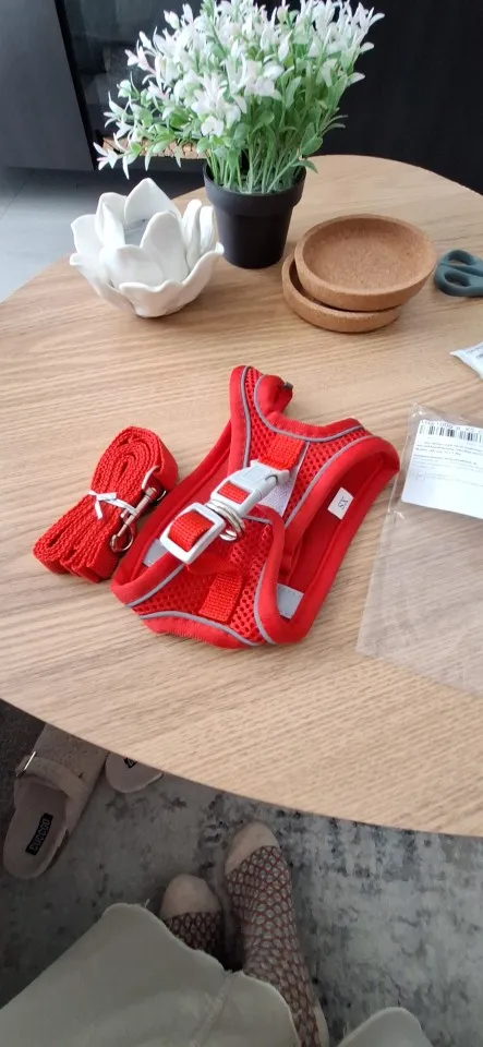 Harnais réglable pour petit chien et chat + laisse – Gilet pour Chihuahua, Bouledogue français, Carlin, promenade extérieure confortable photo review