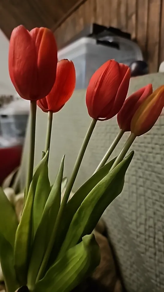 High Quality Soft PVC 5 Heads Artificial Tulip Flowers for Home Decoration photo review