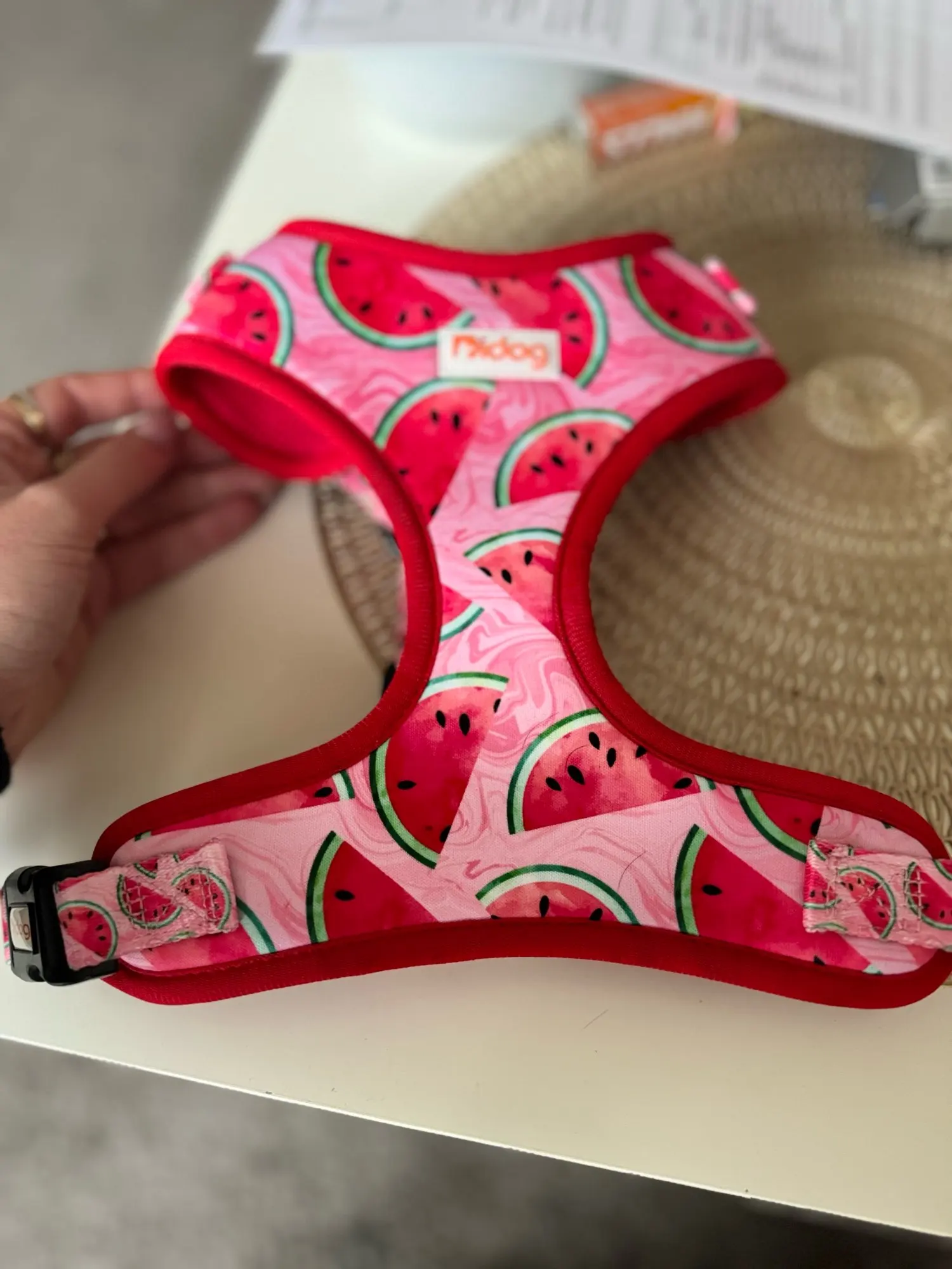 Soft Mesh Vest for Small to Medium Pets, Including French Bulldogs and Chihuahuas photo review