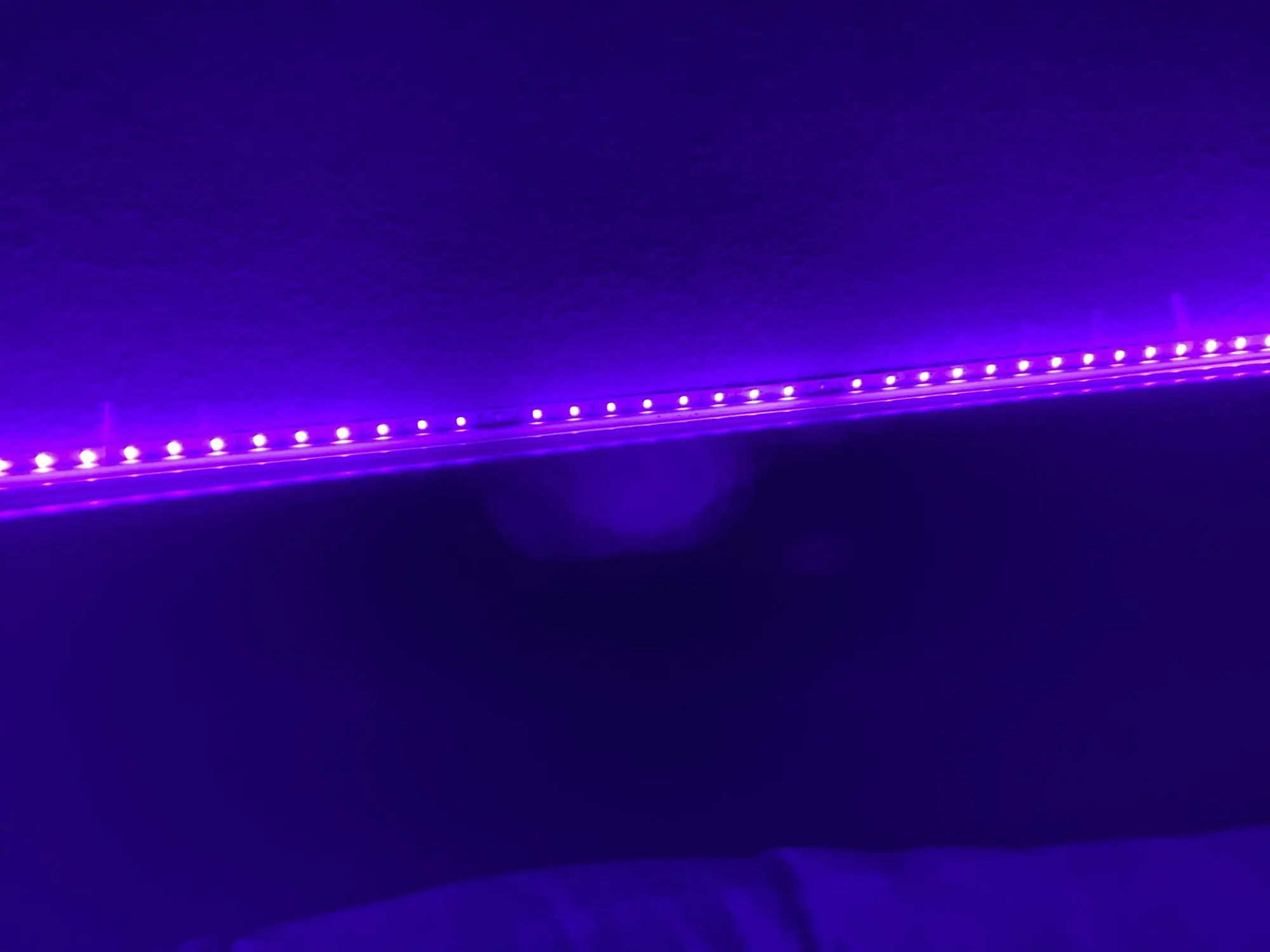 2835 SMD UV DC 12V 5M LED Light Strip Ultraviolet Strip Light photo review