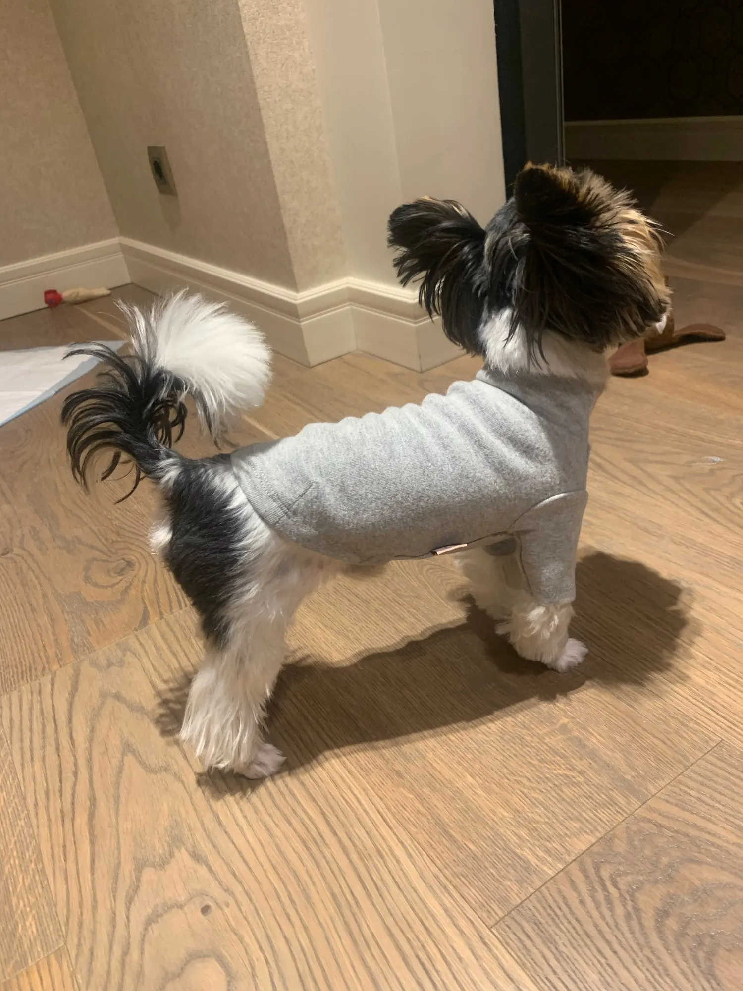 Customer photo