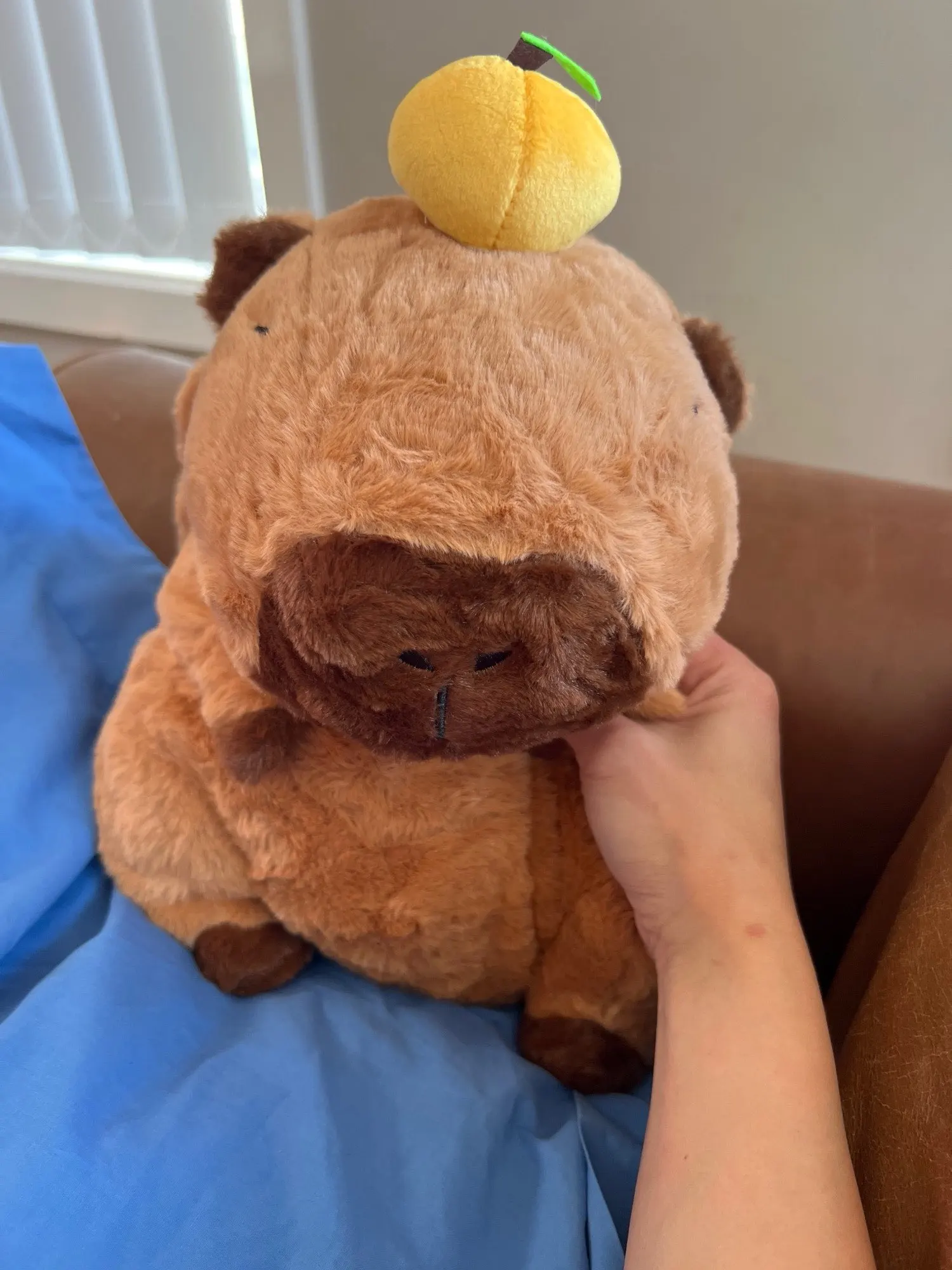 Capybara Plush Backpack photo review