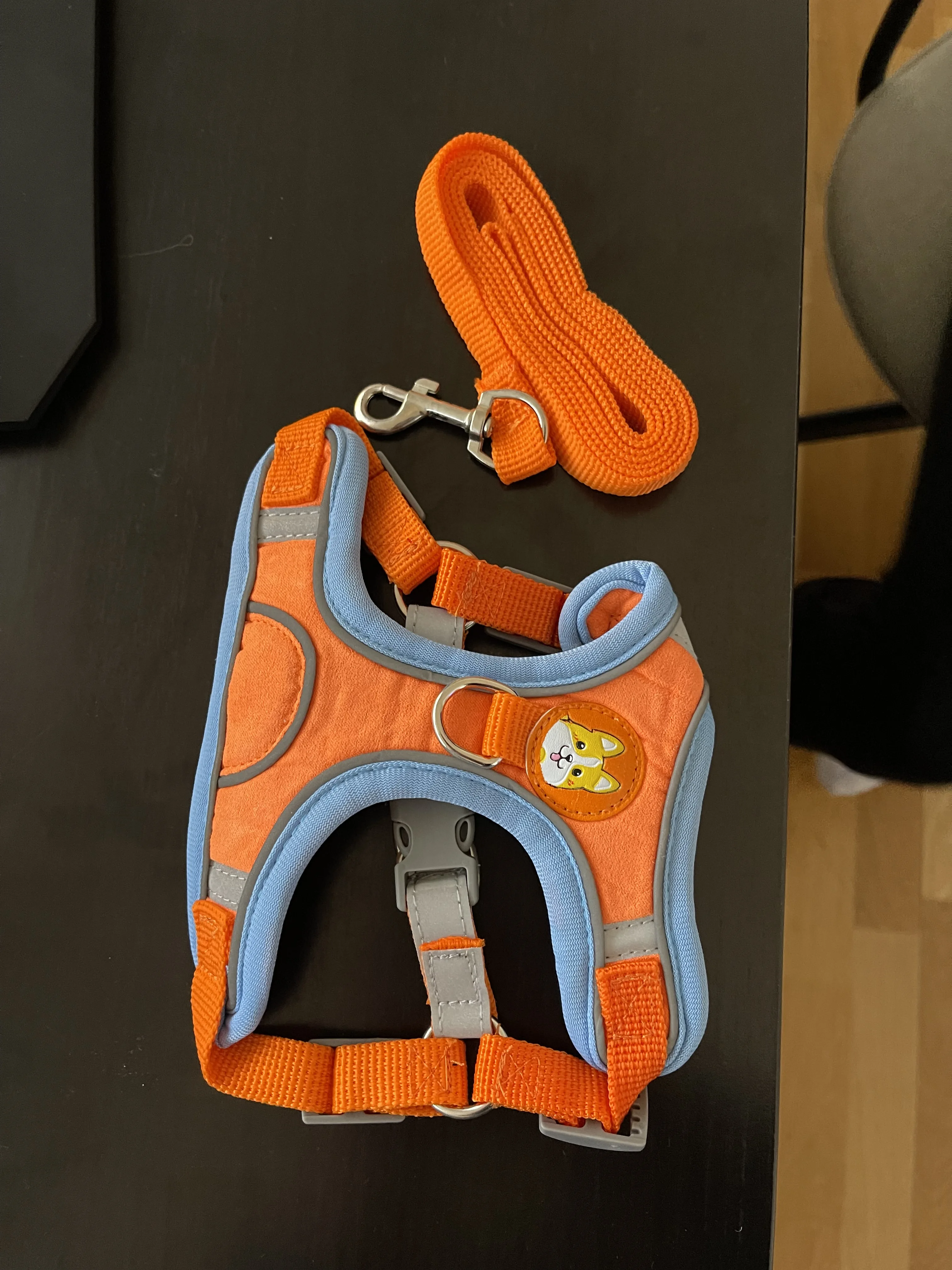 Reflective Pet Harness & Leash Set, Safe Adventures for Your Furry Friend photo review