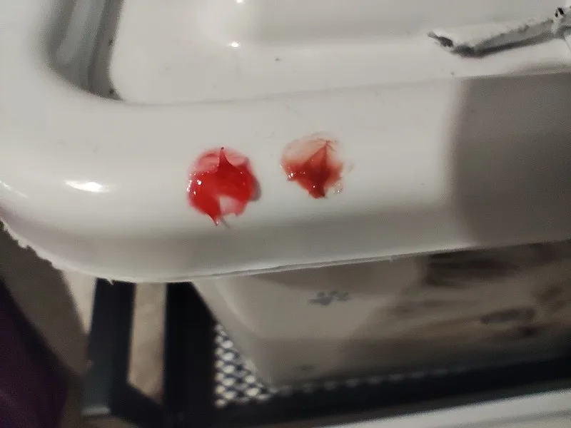 Grasa para trinquete de tambor de bicicleta: conducción suave, baja viscosidad y baja resistencia, mantenimiento de bicicletas, aceite lubricante para bicicletas photo review