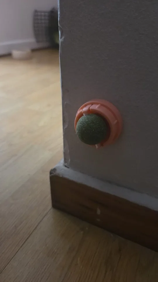 Catnip Cat Wall Stick-on Ball Toy Scratchers Treats Healthy Natural Removes Balls to Promote Digestion Cat Grass Snack photo review