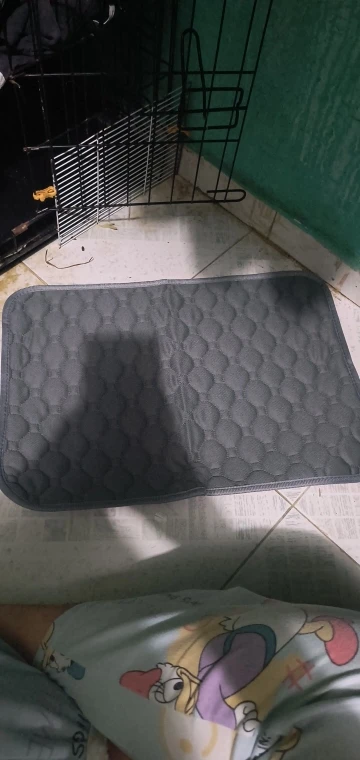 Almohadilla Reutilizable para Perros | Absorbente, Impermeable, Para Entrenamiento y Asiento de Coche photo review