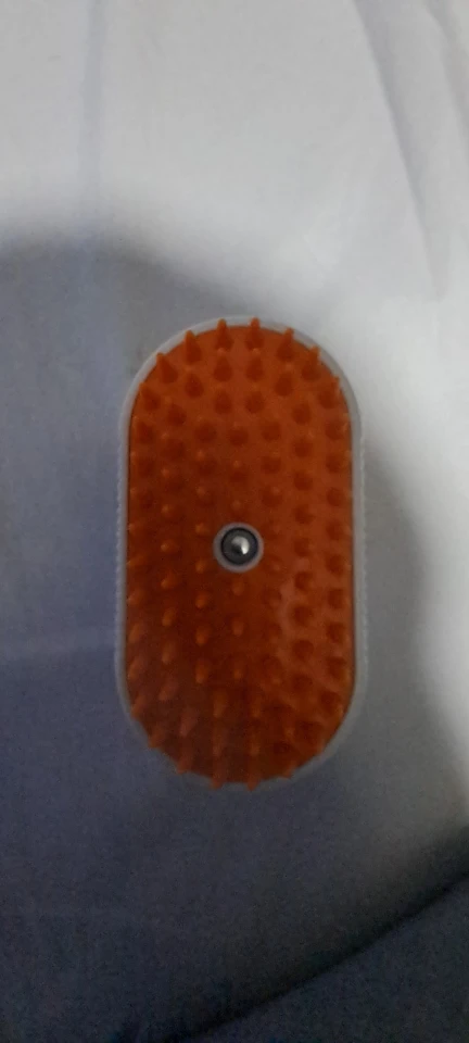 Brosse Vapeur CatEssence