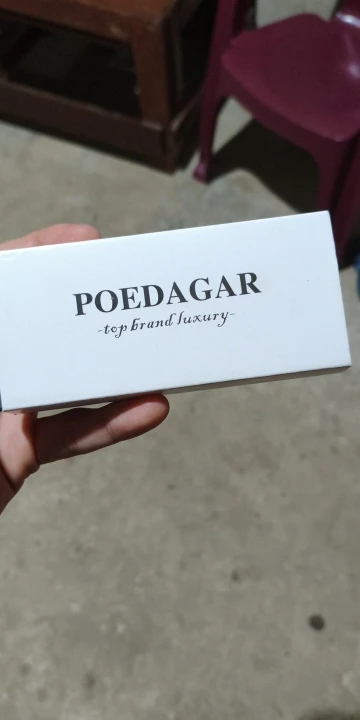 Relógio Masculino de Luxo POEDAGAR Modelo 9601 Quartzo à Prova D'água photo review