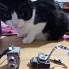 Изображение товара 4