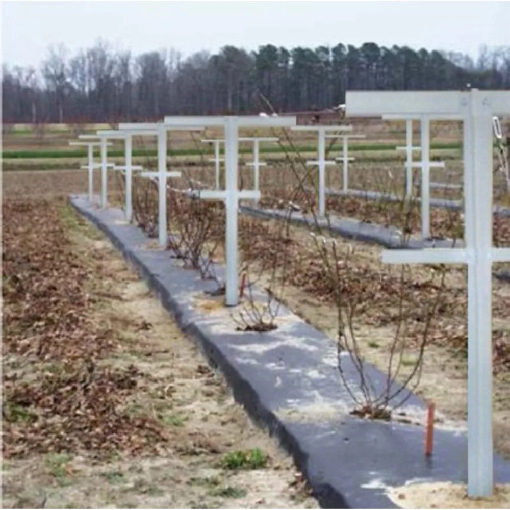 84 in. H Fiberglass Raspberry Trellis and Stake Vineyard Trellis (Set of 2)