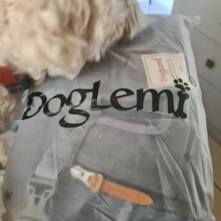 Customer photo