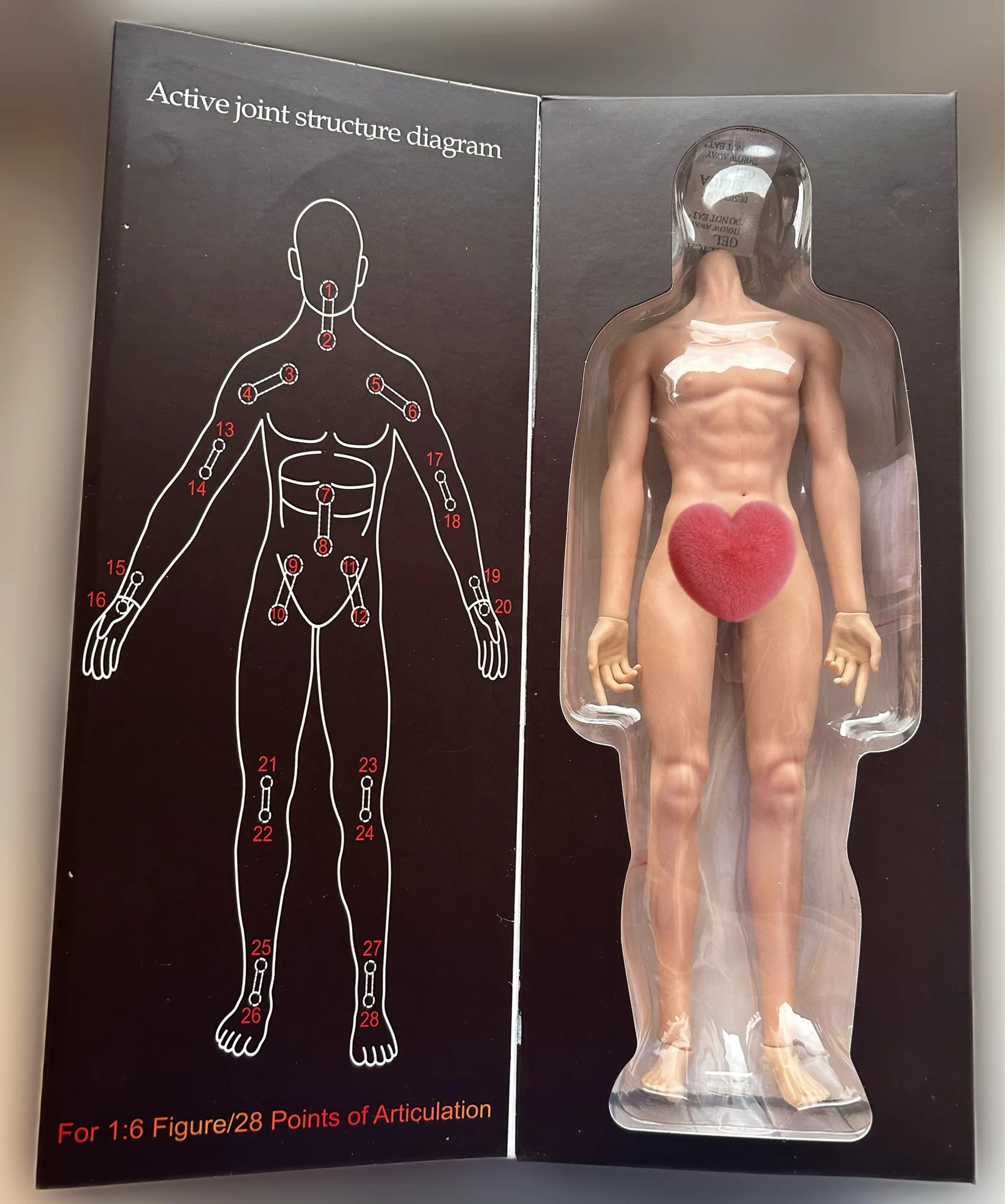 Modèle Anatomique Corps Masculin Musculaire - 28 Cm, Articulé, Avec Accessoires (mains, Supports, Gilet)