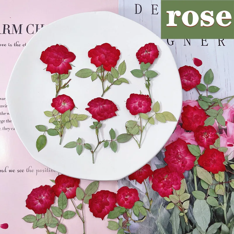 50pcsPressedPressDriedRoseDryFlowerPlantsForEpoxyResin