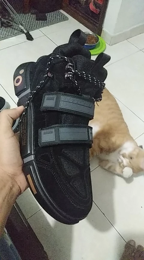 Review Image