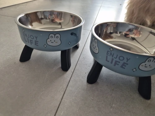 Elevated Stainless Steel Cat Bowl