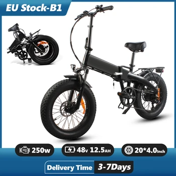 Bici elettrica pieghevole B1 20 pollici 48V 12,5Ah 600Wh Bici elettrica per tutti i terreni 7 velocità Biciclette elettriche assistite con potenza Gamma 50-80 km