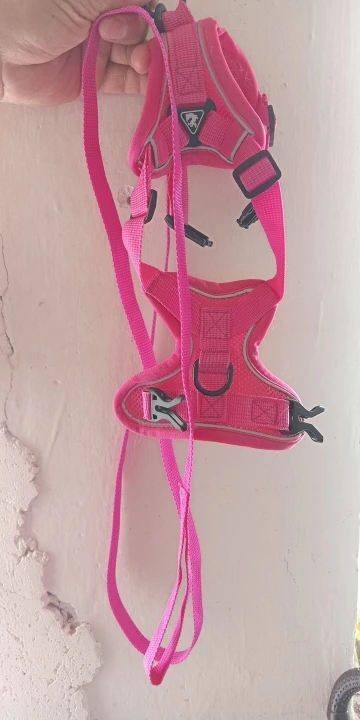 Reflective Mesh Harness & Leash Set: Secure Walking Gear for Small to Medium Pets, including Bulldogs and Pugs photo review