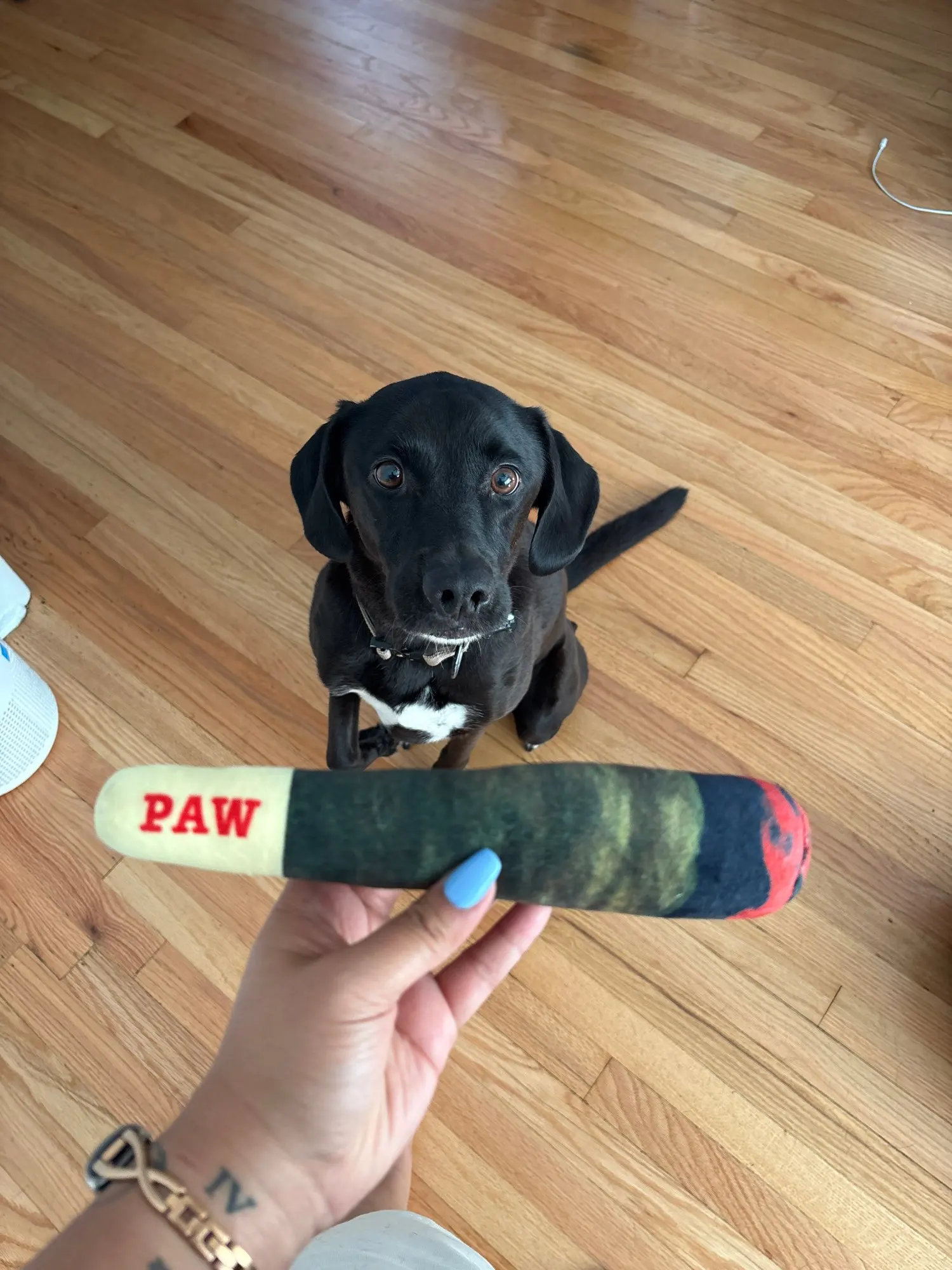 Juguete de peluche para mascotas, juguete creativo para masticar para perros pequeños y grandes photo review