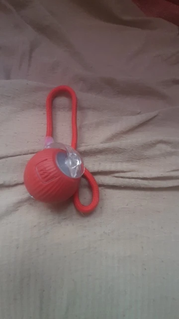 New Cat Interactive Ball Toy Automatic Rolling Ball Faux Tail Rechargeable Smart Pet photo review