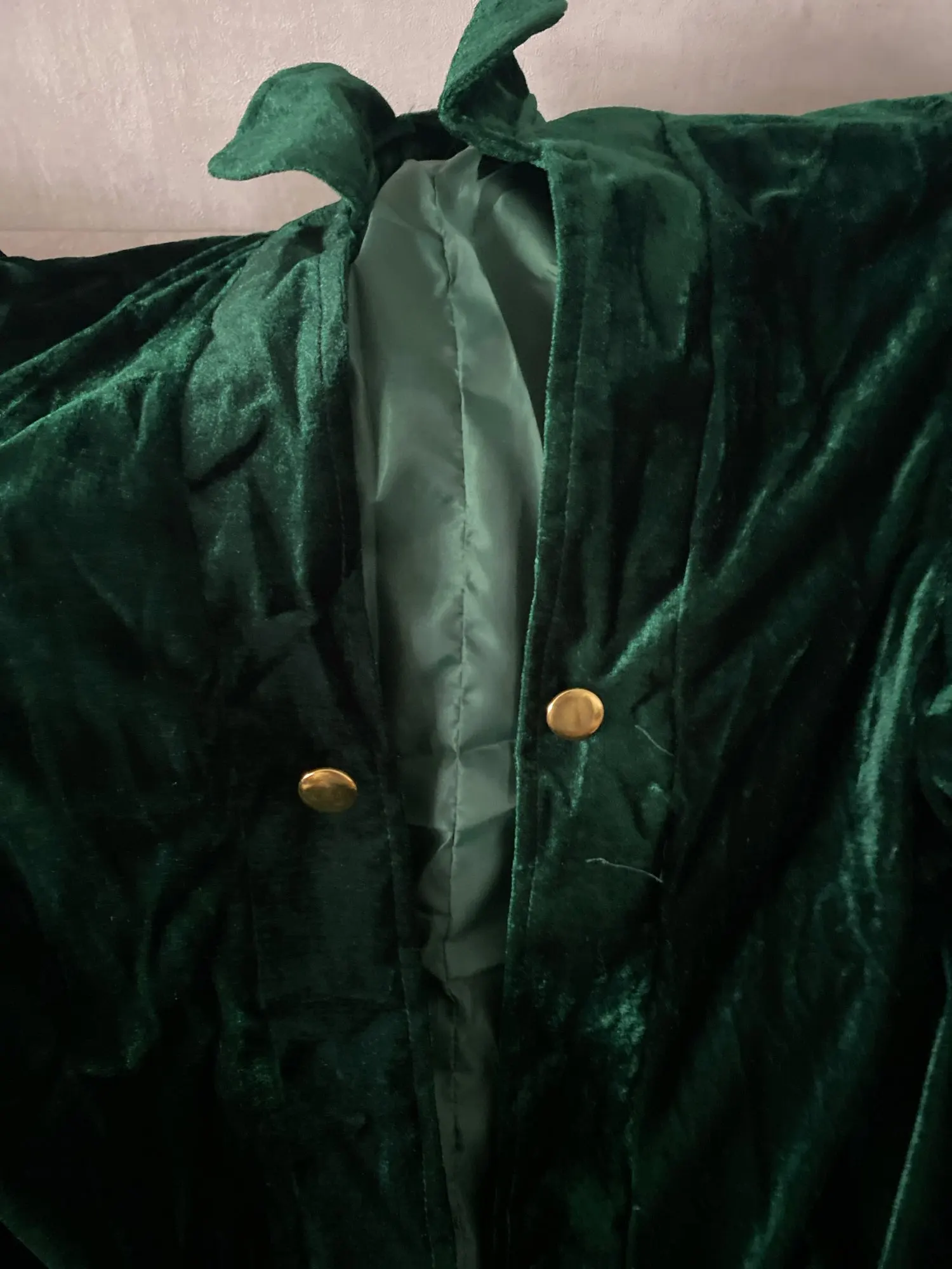 Costume de sorcière de prestige - Robe en velours vert émeraude & chapeau pointu