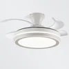 IRALAN  Household Electric ceiling led light fan silent invisible blade Lamps for room living room dining room study kitchen 1