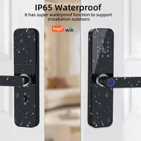 RAYKUBE F005 IP65 Waterproof Tuya Wifi Lock Electronic Smart Door Lock With Fingerprint/Smart Card/Password/Key/APP Unlock - Image 4