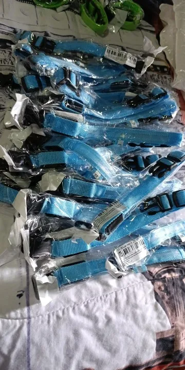 GlowSafe – Leuchtendes Halsband & Leine für maximale Sichtbarkeit bei Nacht photo review