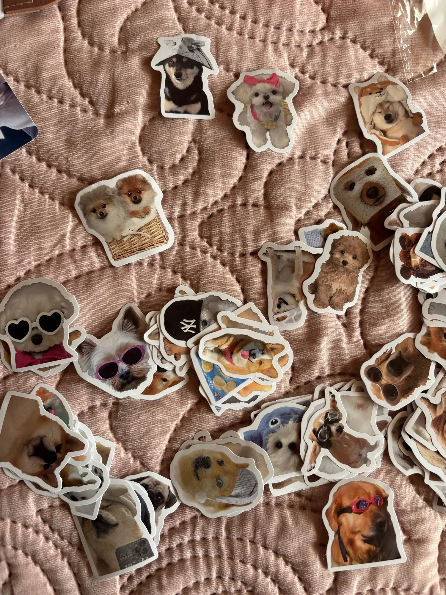 Funny Dog Stickers – Cartoon Cute Graffiti Decals (10/50/100 Pcs)