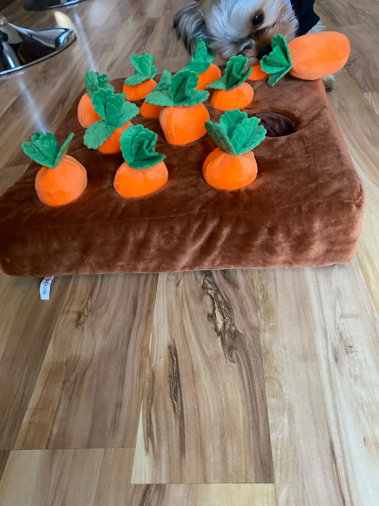 Plush Toys For Entertaining Dogs