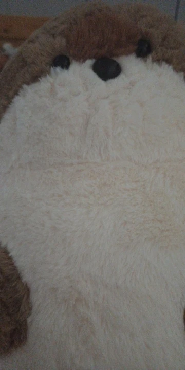 Seal and Otter Plushies photo review