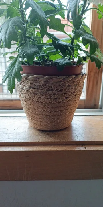 Straw Weaving Flower Plant Pot Wicker Basket Rattan Flowerpot Storage Basket Garden Flowerpot Handmade Woven Planter Basket photo review