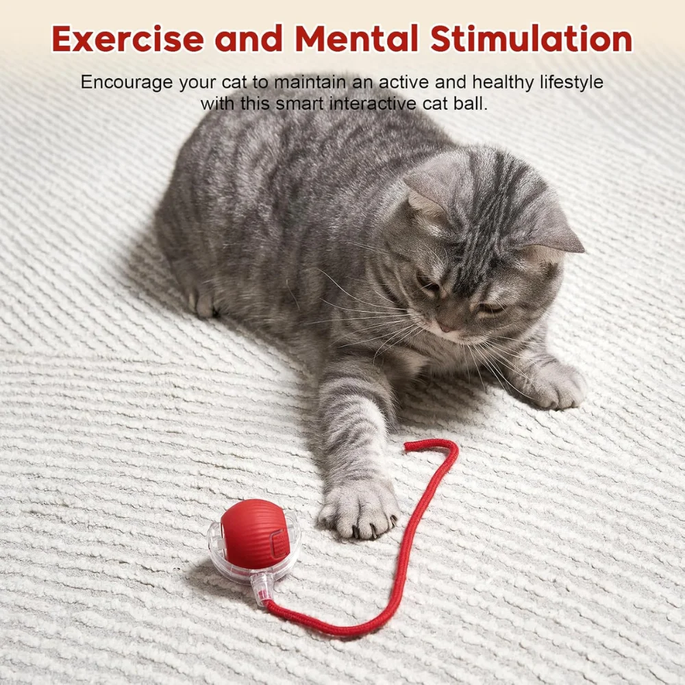 Bolinha Inteligente para Gatos e Cães – Luz LED, Recarga USB e Movimento 360 5